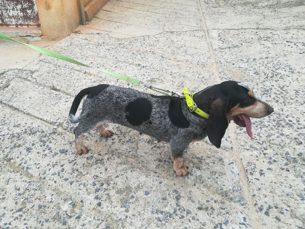Igreta Del Montbarbat
