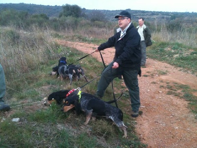 Del Montbarbat - Club du Bleu de Gascogne.Lapin.Thuir(France).11/1/14