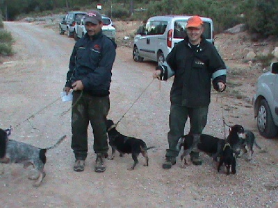 Del Montbarbat - Club Esp.Beagle. La Cerollera. Sobre Conejo. 6/10/13
