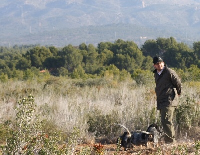 Del Montbarbat - C.E. Basset Hound. Rastro sobre conejo l'Ametlla 25/02/2012